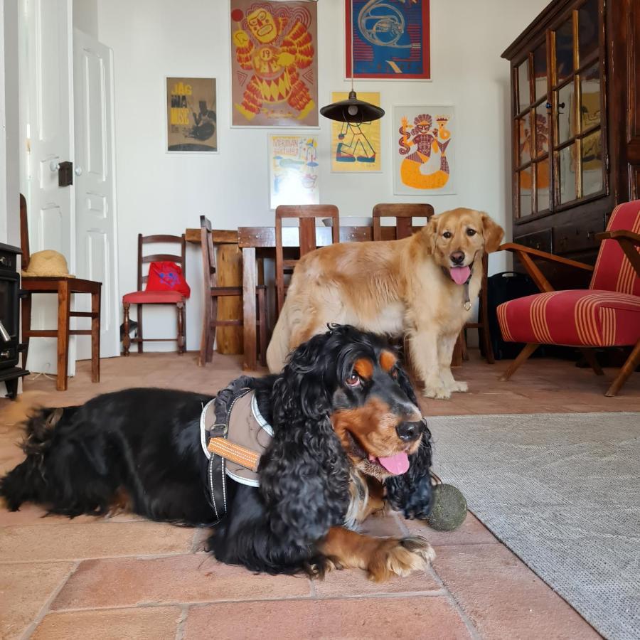 Casa Magana Em Grandola Villa Kültér fotó